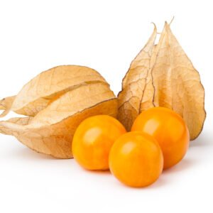 physalis