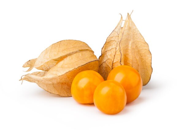 physalis